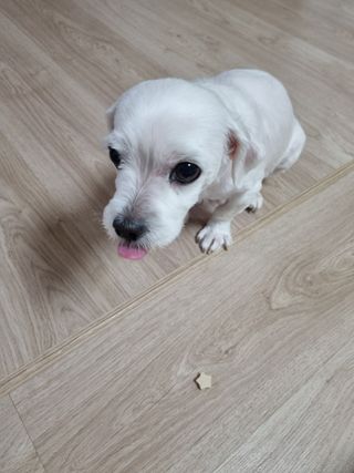 jiyoung_60님이 올린 리뷰 사진 2