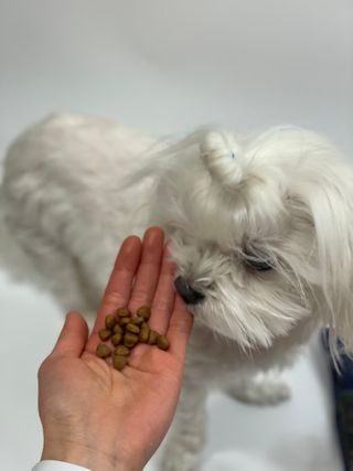 salamba님이 올린 리뷰 사진 4