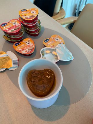 비타크래프트 조에시 하트캔 85g 강아지 습식캔 10캔 — 5점을 준 리뷰어가 2021년 7월 올린 사용 사진