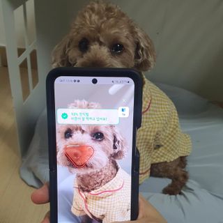 사랑해안시영님이 올린 리뷰 사진 2