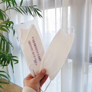 데일리브레스황사마스크KF94대형 데일리브레스 황사방역마스크 KF94 대형 — 4점을 준 리뷰어가 2021년 4월 올린 사용 사진