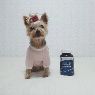 솜희님이 올린 리뷰 사진 3