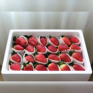 옳음 딸기 논산 설향 딸기 900g 산지직송 — 5점을 준 리뷰어가 2021년 1월 올린 사용 사진