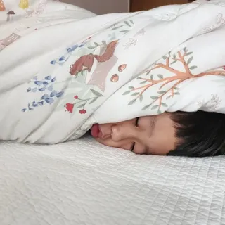 소담스퀘어 상암 [굿대디] 잠이든 1EA(1개월) 흑하랑상추 수면영양제 — 5점을 준 리뷰어가 2022년 12월 올린 사용 사진