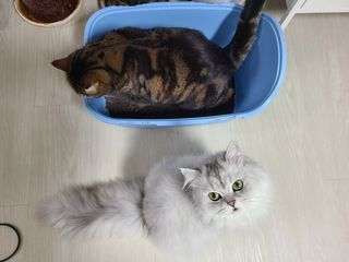 나윤나윤님이 올린 리뷰 사진 4