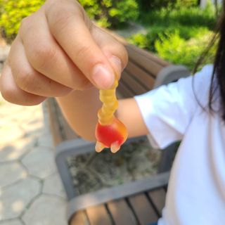 바람꽃님이 올린 리뷰 사진 4