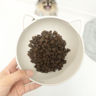 [푸디웜] 라포그  리얼인섹트 웨이트밸런스 저알러지 강아지 사료  1.2KG — 5점을 준 리뷰어가 2022년 7월 올린 사용 사진