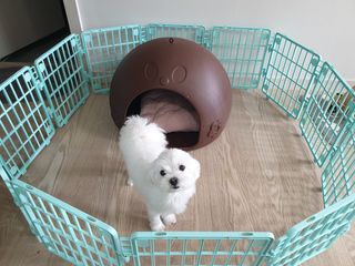 제이님이 올린 리뷰 사진 2