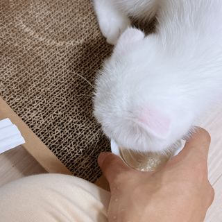 소원구르밍님이 올린 리뷰 사진 2