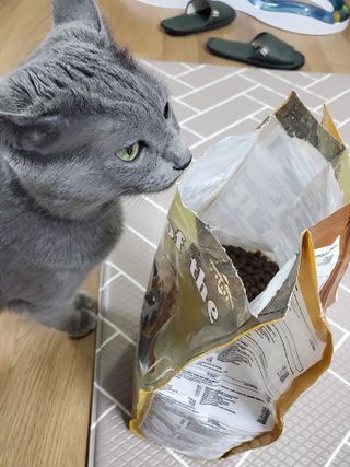 보리엄마님이 올린 리뷰 사진 2