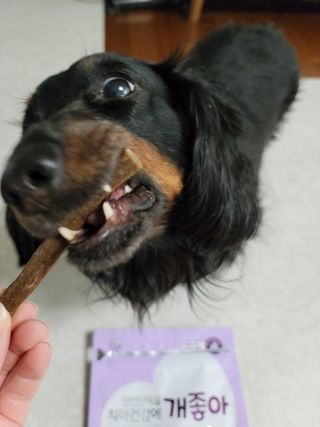 My Pet Care 천연단백질 치아건강에 개좋아 — 4점을 준 리뷰어가 2021년 2월 올린 사용 사진