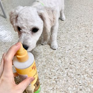 cherry님이 올린 리뷰 사진 3