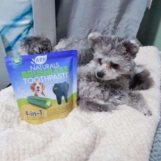 김이설님이 올린 리뷰 사진 1