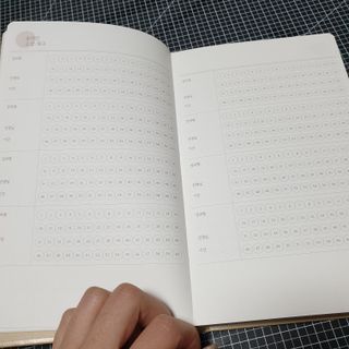 응원과 위로가 필요한 당신에게  리훈 하고싶은말 스터디 플래너 — 5점을 준 리뷰어가 2021년 4월 올린 사용 사진