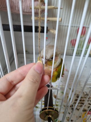 youngran님이 올린 리뷰 사진 3