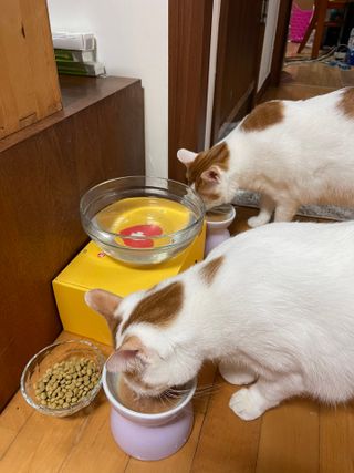 봄님이 올린 리뷰 사진 4