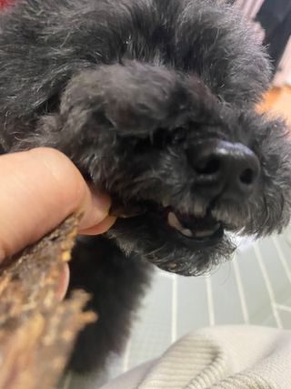 공팔리터최고다님이 올린 리뷰 사진 3
