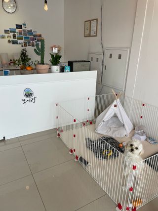 희랑님이 올린 리뷰 사진 3