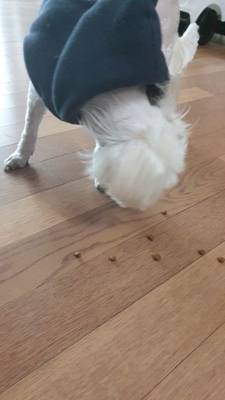 데이지맘님이 올린 리뷰 사진 2