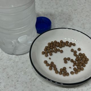 쏘피님이 올린 리뷰 사진 2