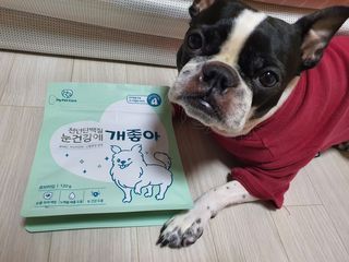 My Pet Care 천연단백질 눈건강에 개좋아 — 5점을 준 리뷰어가 2021년 2월 올린 사용 사진