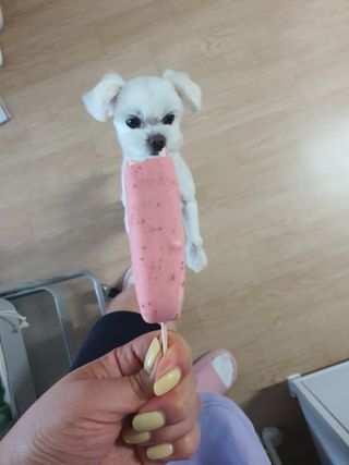뽀오오옹님이 올린 리뷰 사진 4