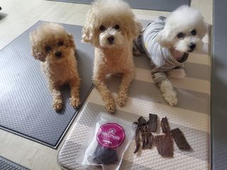 모모맘님이 올린 리뷰 사진 1