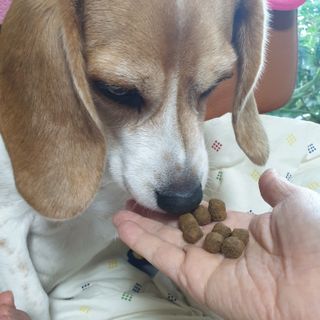 beaglelove님이 올린 리뷰 사진 3