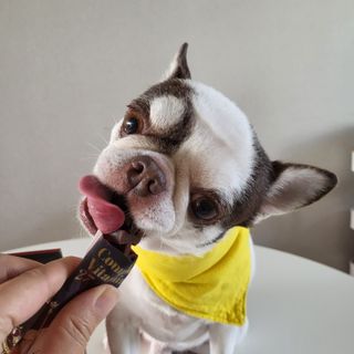 mini unni님이 올린 리뷰 사진 4