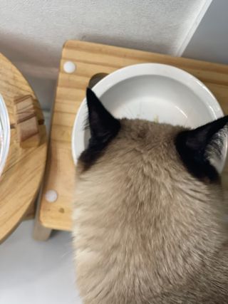 부우기님이 올린 리뷰 사진 4