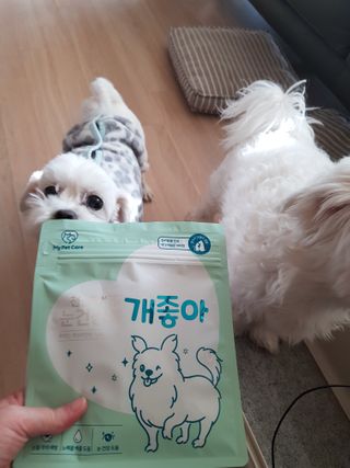 My Pet Care 천연단백질 눈건강에 개좋아 — 5점을 준 리뷰어가 2020년 12월 올린 사용 사진