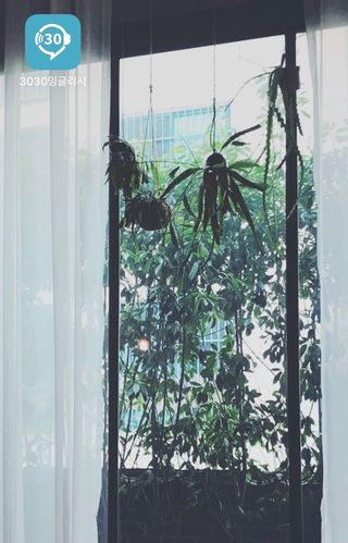 happier님이 올린 리뷰 사진 1