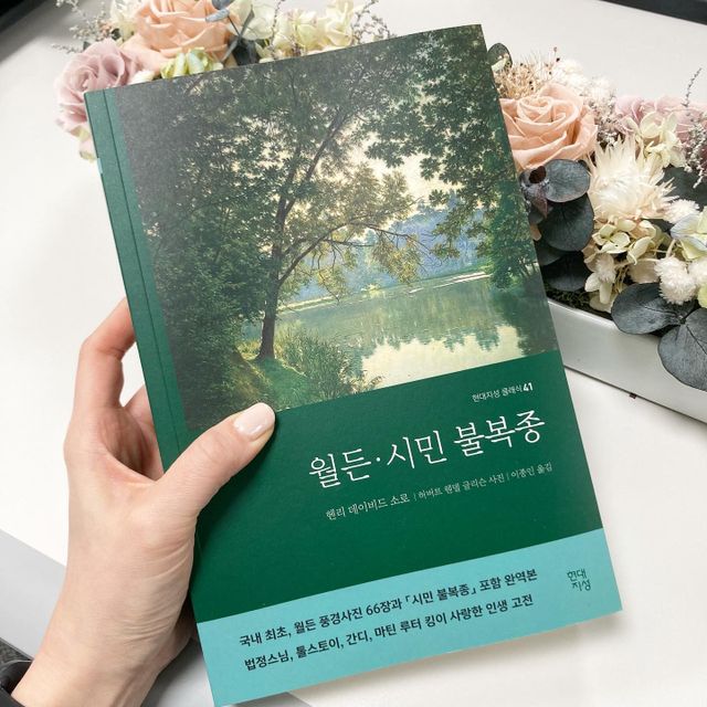 월든·시민 불복종 리뷰 사진