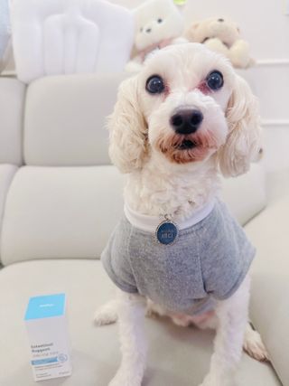 가드니아님이 올린 리뷰 사진 1