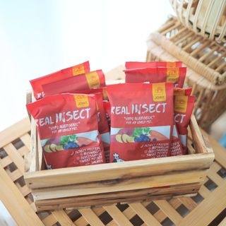 [푸디웜] 라포그  리얼인섹트 관절 저알러지 강아지 사료  1.2KG — 5점을 준 리뷰어가 2022년 8월 올린 사용 사진