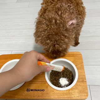 솜두부님이 올린 리뷰 사진 1