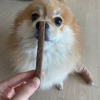 My Pet Care 천연단백질 치아건강에 개좋아 — 5점을 준 리뷰어가 2020년 12월 올린 사용 사진