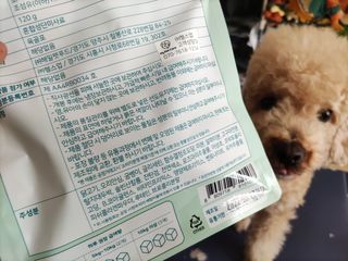 My Pet Care 천연단백질 눈건강에 개좋아 — 5점을 준 리뷰어가 2021년 2월 올린 사용 사진