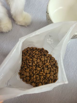 Woo7C님이 올린 리뷰 사진 4