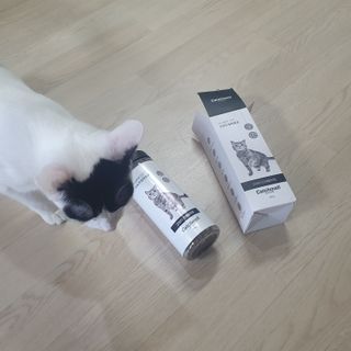 초딩짱구님이 올린 리뷰 사진 2