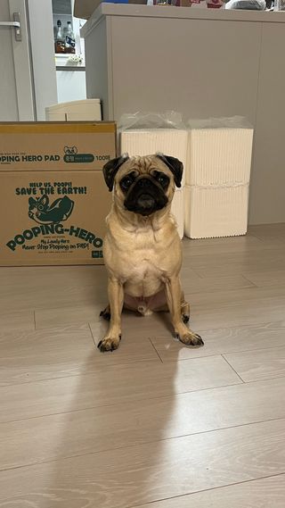 은때님이 올린 리뷰 사진 1