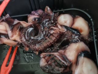 하니님이 올린 리뷰 사진 2