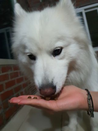 김은둥님이 올린 리뷰 사진 3