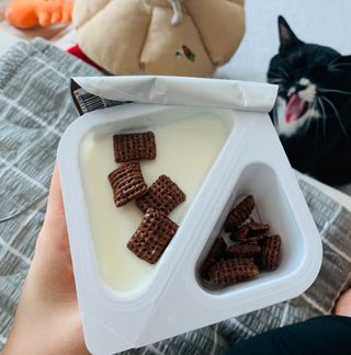 오둥이맘님이 올린 리뷰 사진 1