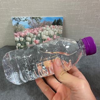 데이지Daygee님이 올린 리뷰 사진 3