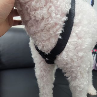 K케이님이 올린 리뷰 사진 3