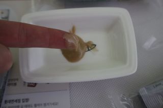 배고파님님이 올린 리뷰 사진 2