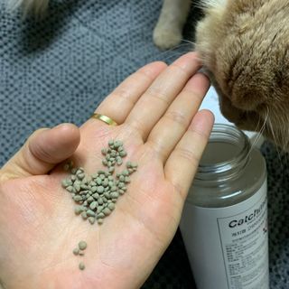 이슈우님이 올린 리뷰 사진 3