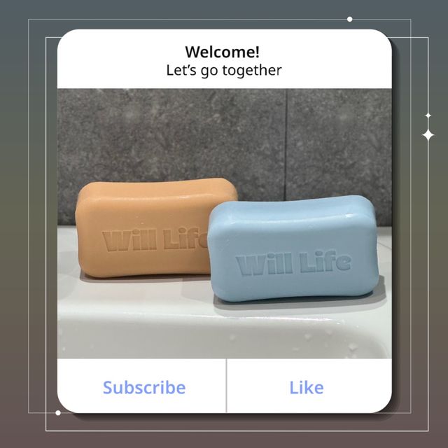 윌라이프 아이스 멘톨 + 사우나 릴렉싱(네이버) 클린 샤워바 150g + (거품망 2EA) 리뷰 사진