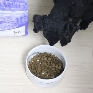 캐닌캐비어 알카라인 홀리스틱 그레이프리 앙뜨레 ALS_4종 오픈스카이, 와일드오션, 프리스피릿, 스페셜니즈 — 5점을 준 리뷰어가 2023년 2월 올린 사용 사진